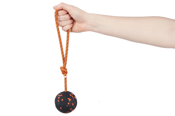 Non-Stop Dog ball on rope