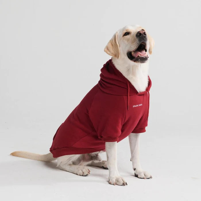 
                  
                    Essential Dog Hoodie - Burgundy
                  
                