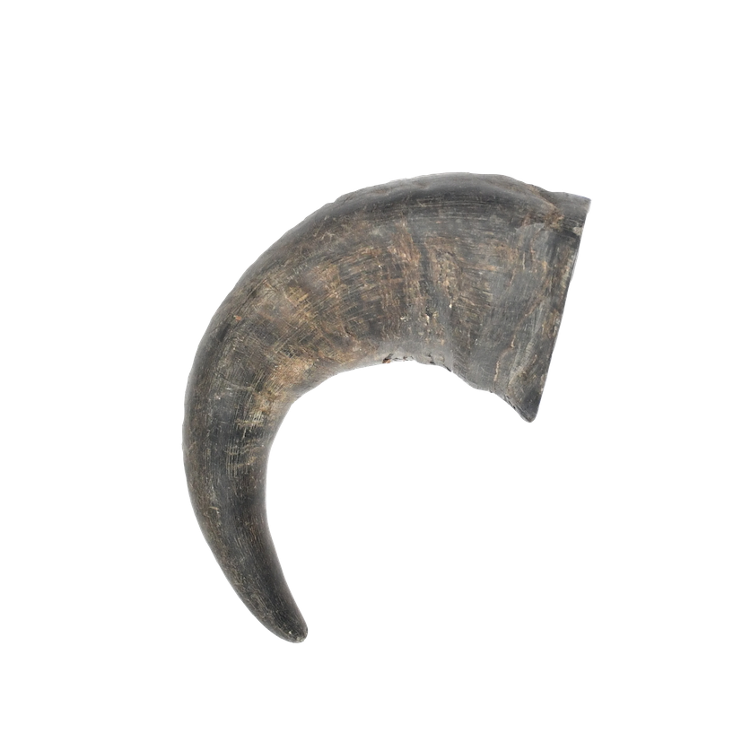 Buffalo Horn Medium/Large