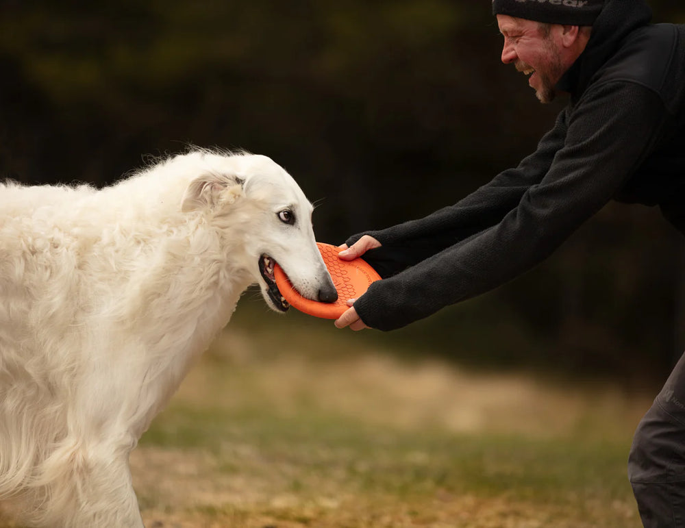 
                  
                    Non-stop Dog flying disc
                  
                