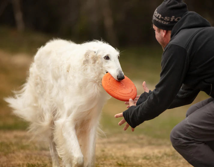 
                  
                    Non-stop Dog flying disc
                  
                