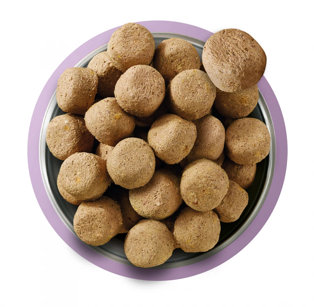 Complete Freeze Dried Food  80/20 Turkey For Adult Dogs