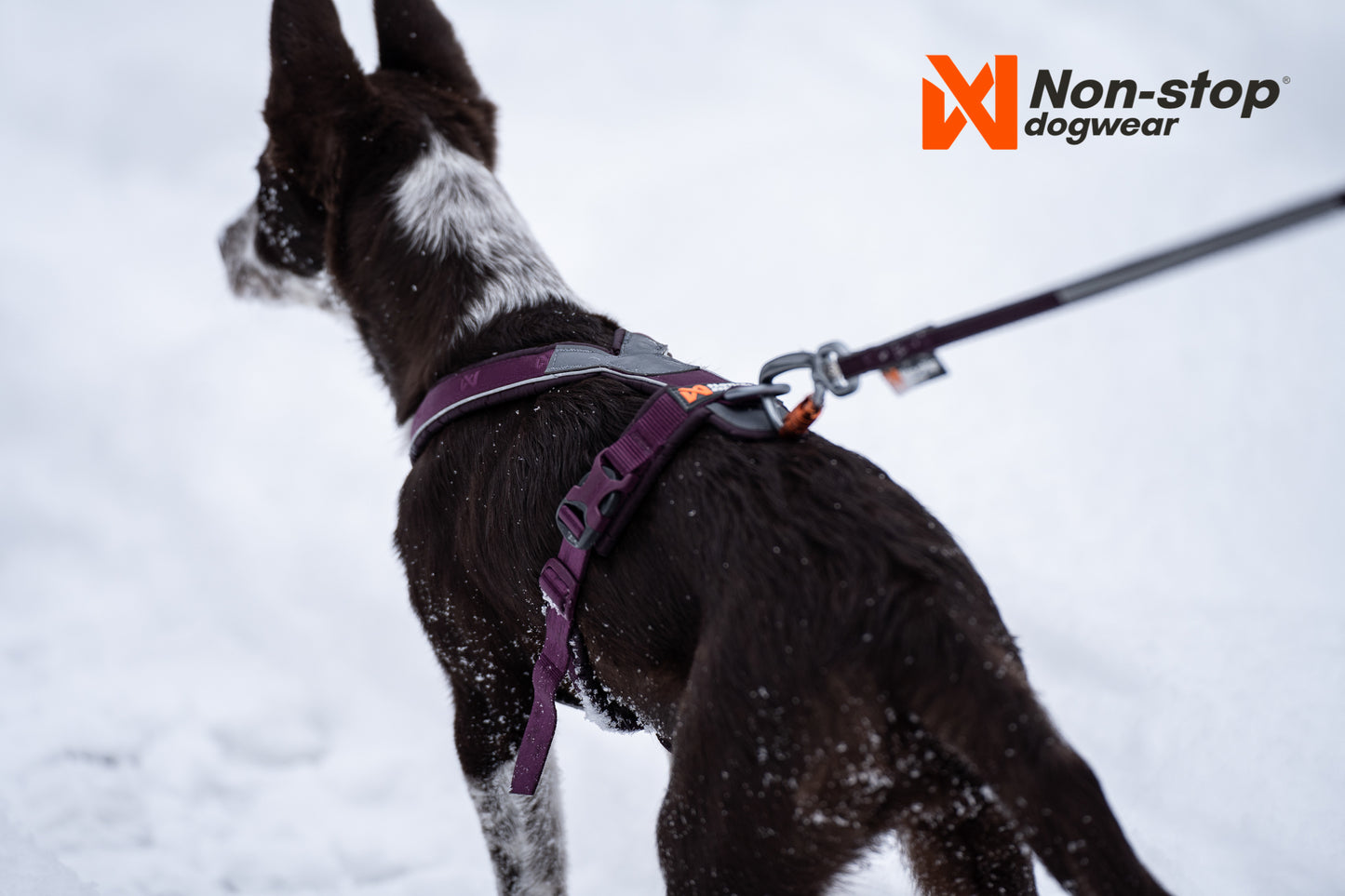 Non-stop dogwear Line Harness 5.0