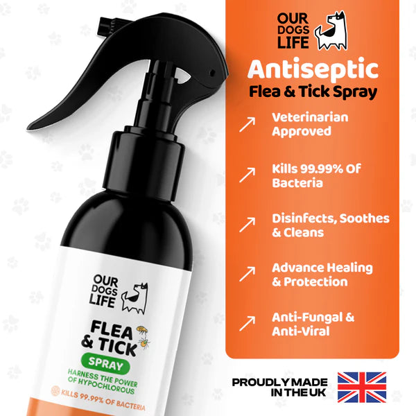 Our Dog’s Life – Flea & Tick Spray