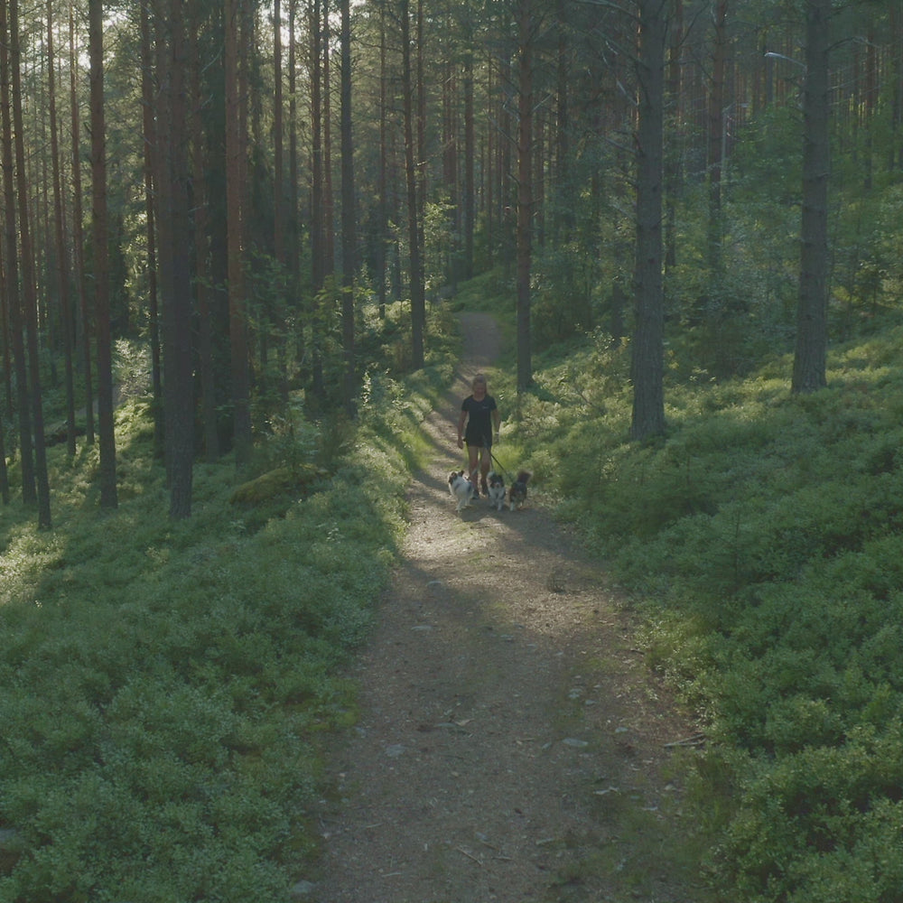 
                  
                    Load and play video in Gallery viewer, Non-stop dogwear Line Harness 5.0
                  
                