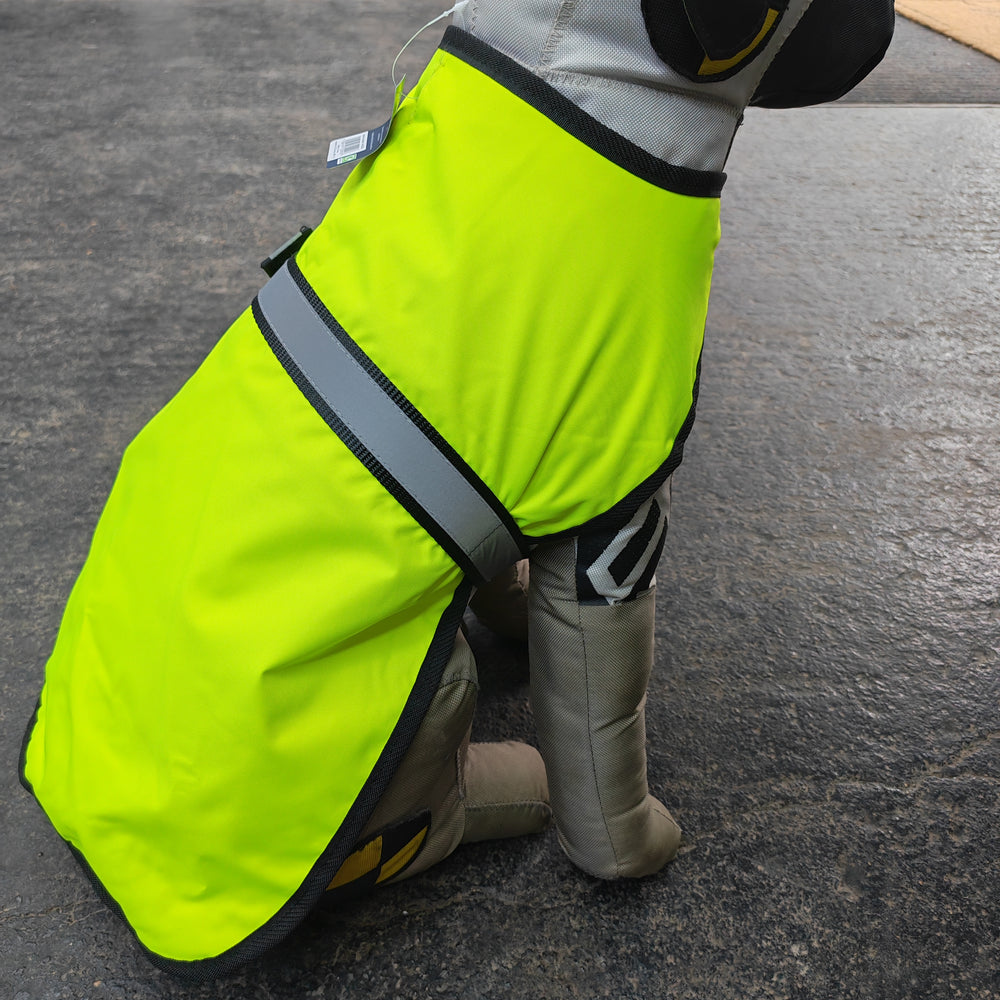 Reflective High visibility padded Dog Jacket