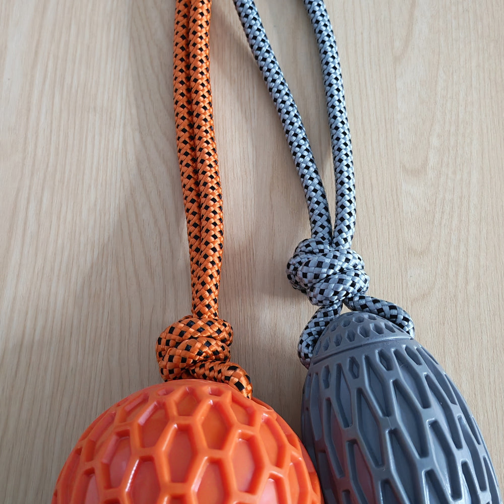 Squeaker on a Rope Dog Toy (Single)