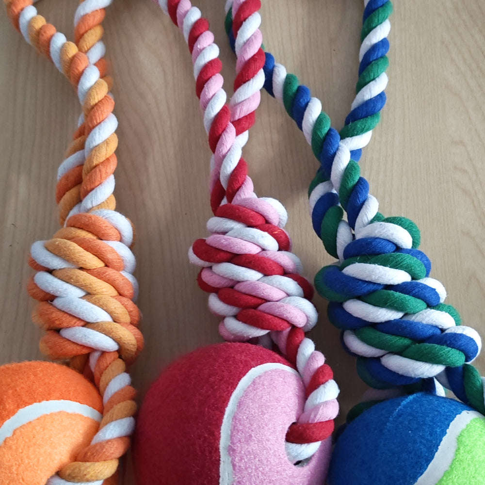 Rope Dog toy with Ball (Single)