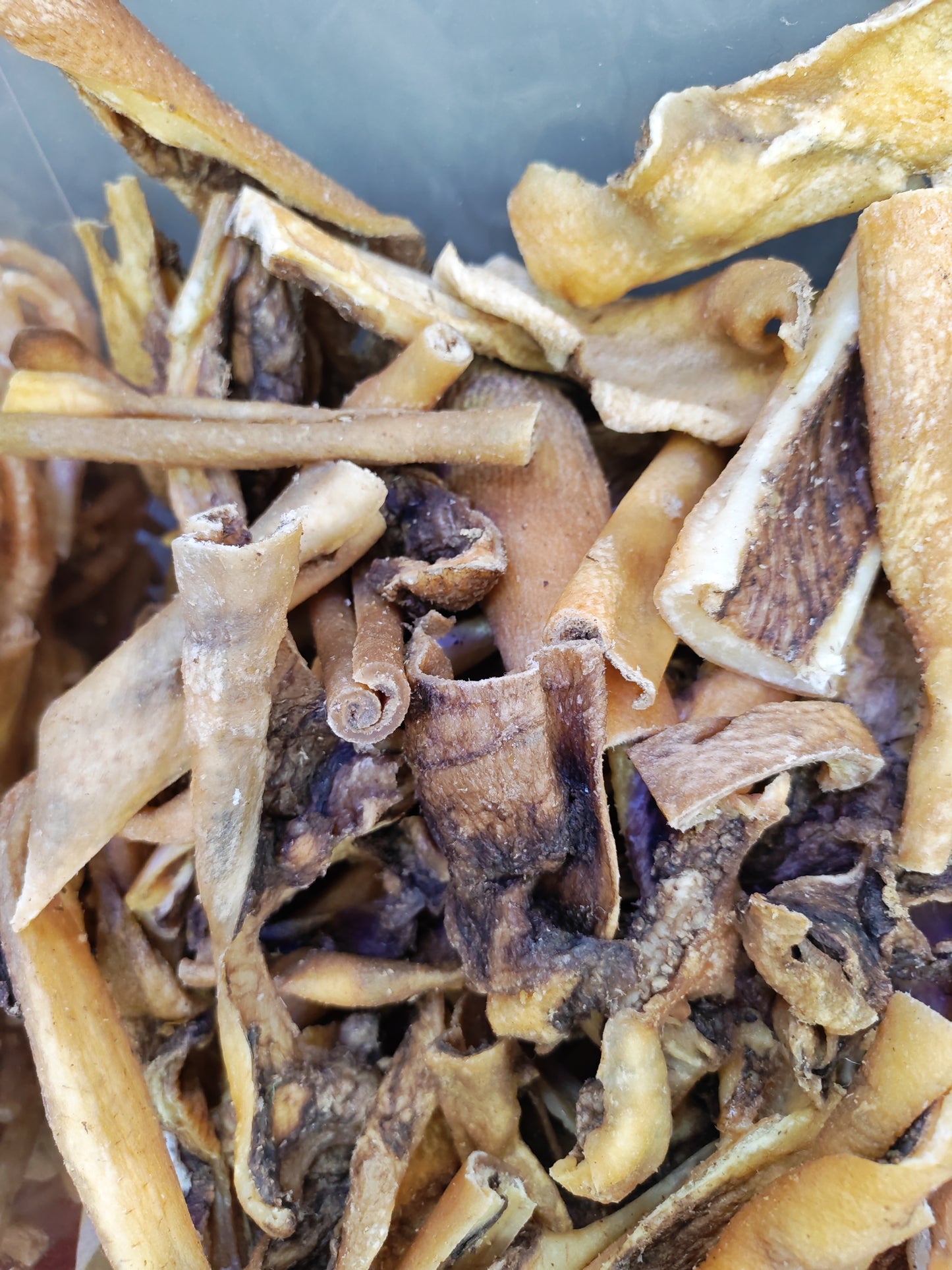 Wild Boar Skin Chews Single piece