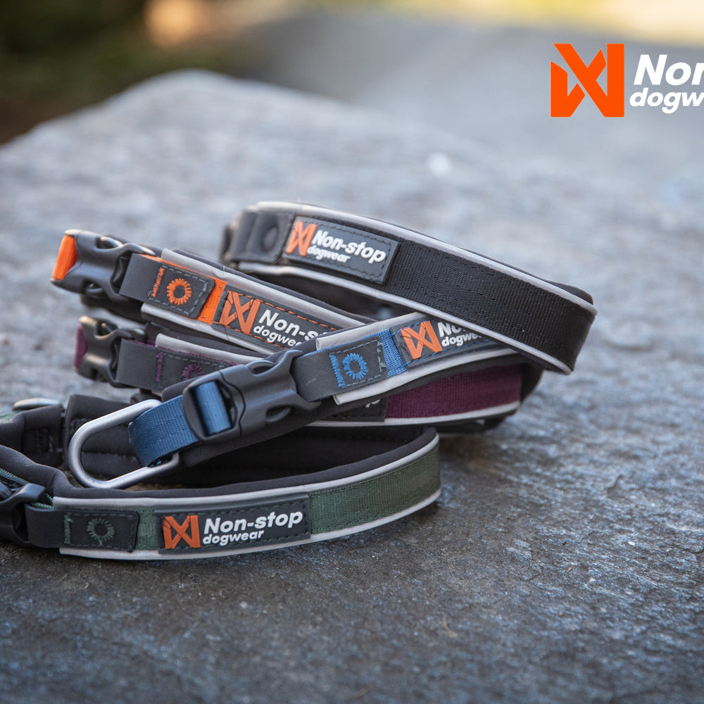 Non-stop dogwear Roam Collar