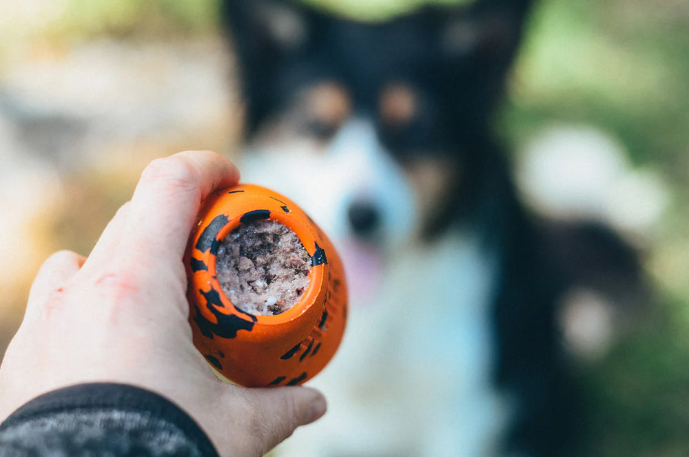 
                  
                    Non-Stop Dog throw toy
                  
                