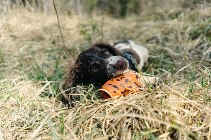 
                  
                    Non-Stop Dog throw toy
                  
                