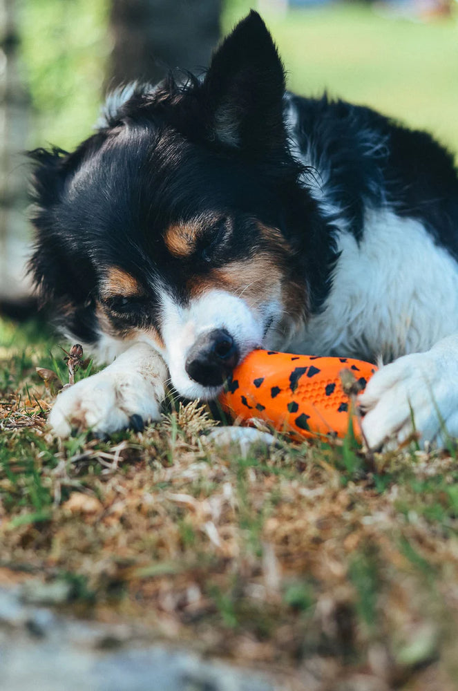
                  
                    Non-Stop Dog throw toy
                  
                
