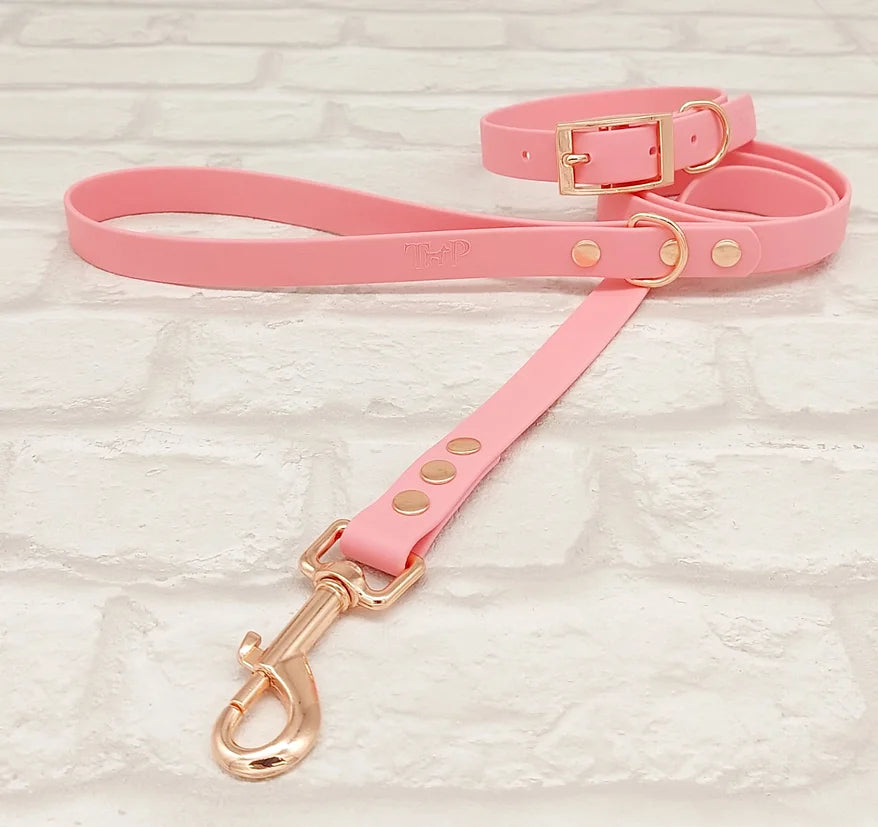 Waterproof BioThane Dog Lead-Baby Pink